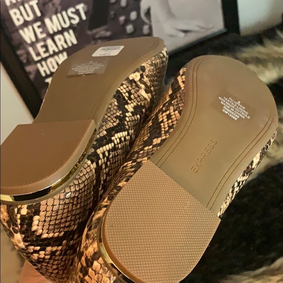 Express Brown Snake Skin flats - Picture 5 of 8